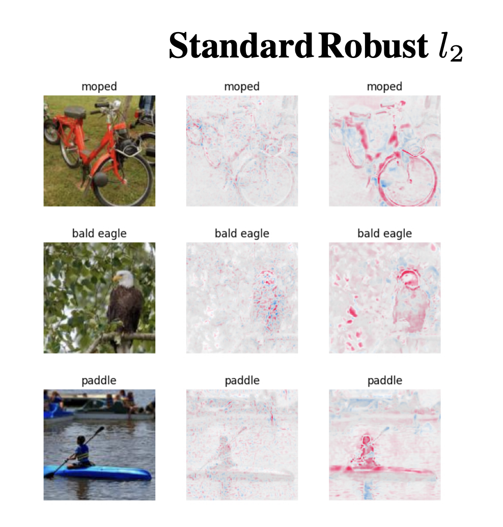 Comparison of interpretability results for standard and adversarially robust computer vision models